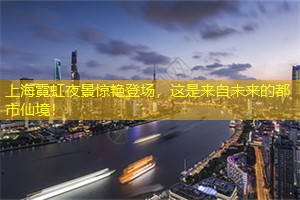 上海霓虹夜景惊艳登场，这是来自未来的都市仙境！